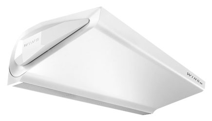 wing
